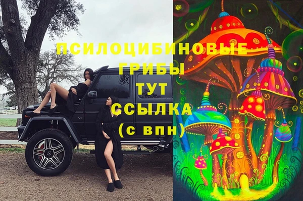 СК Михайловка