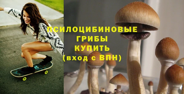 apvp Михайловск