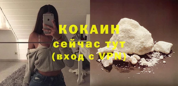 прущий лед Михайлов