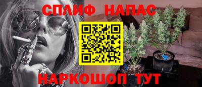 ECSTASY Ирбит