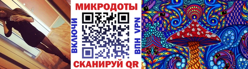Псилоцибиновые грибы MAGIC MUSHROOMS  где продают   Петрозаводск 