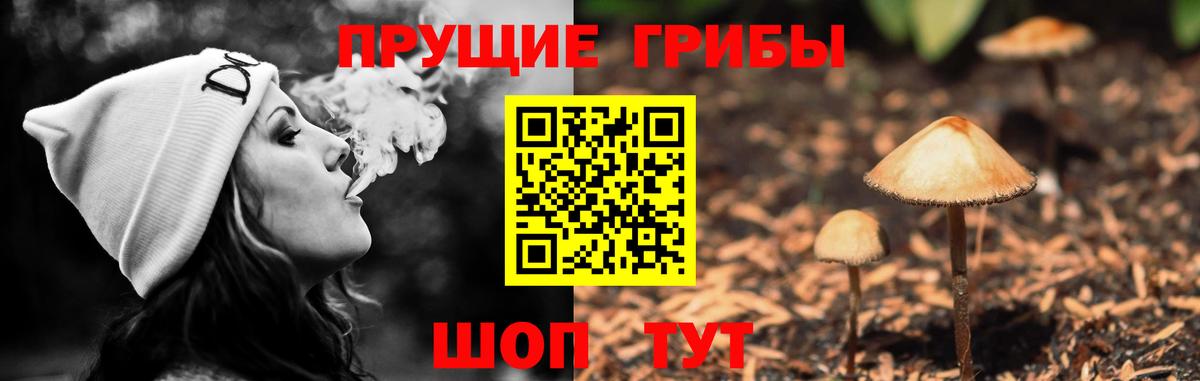 Петрозаводск  Псилоцибиновые грибы MAGIC MUSHROOMS  Вход с VPN 